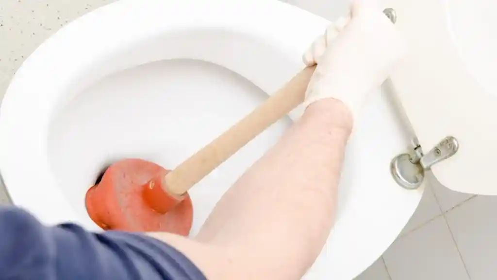 Como divulgar uma desentupidora? Estratégias eficazes! Como divulgar uma desentupidora